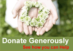 Make Donations